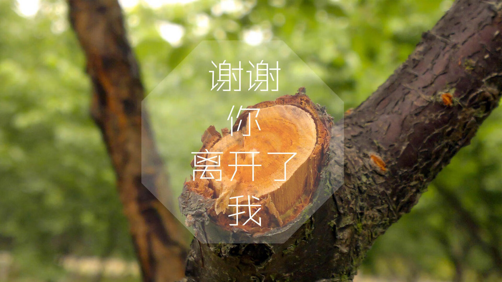 kaiyun网站-【裁判讲堂】罚分判决中的细节与争议分析，判罚金的标准