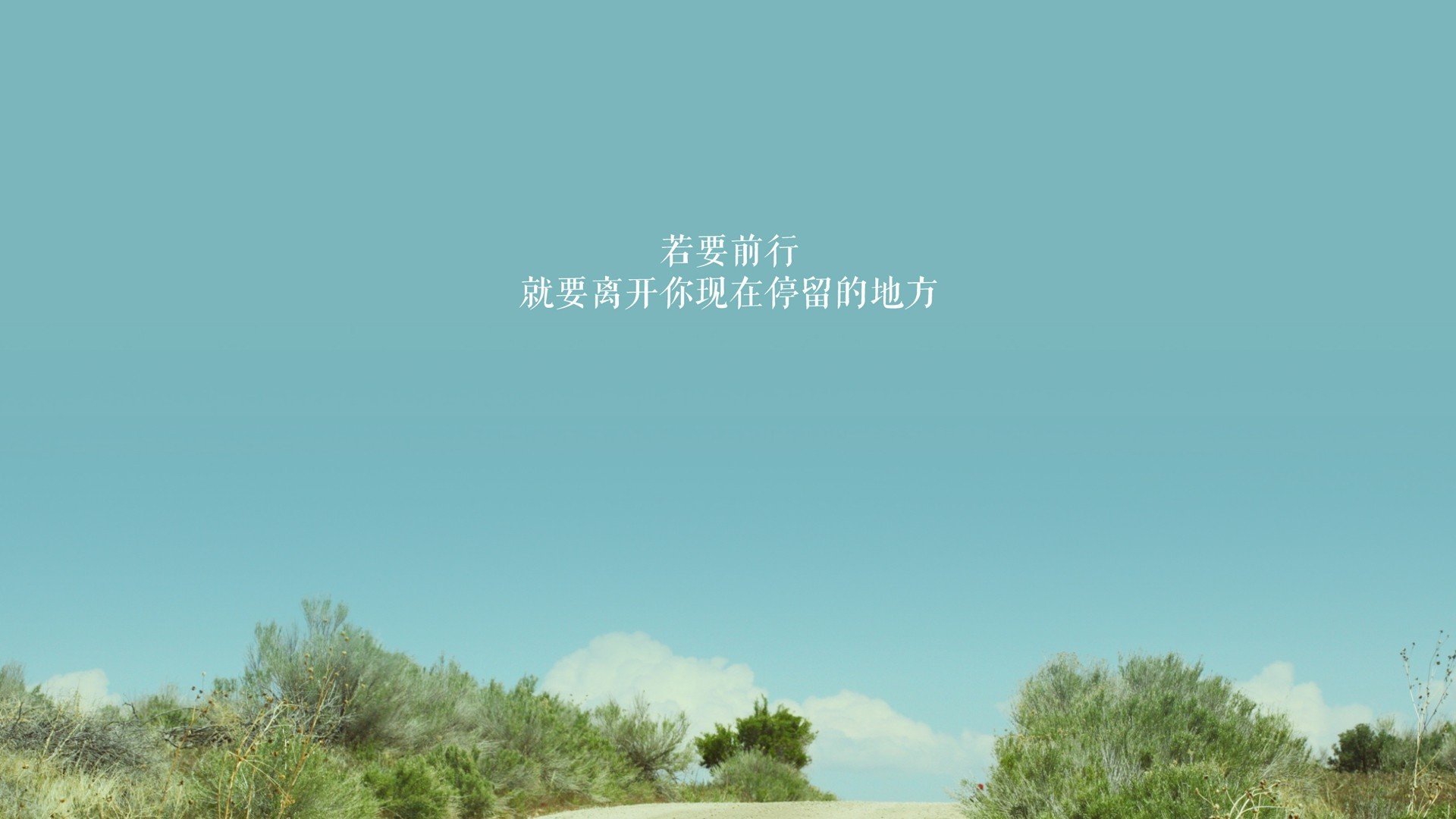 kaiyun.com-美国马术协会推出马匹健康管理系统，提升马匹福利。，美国马术运动员