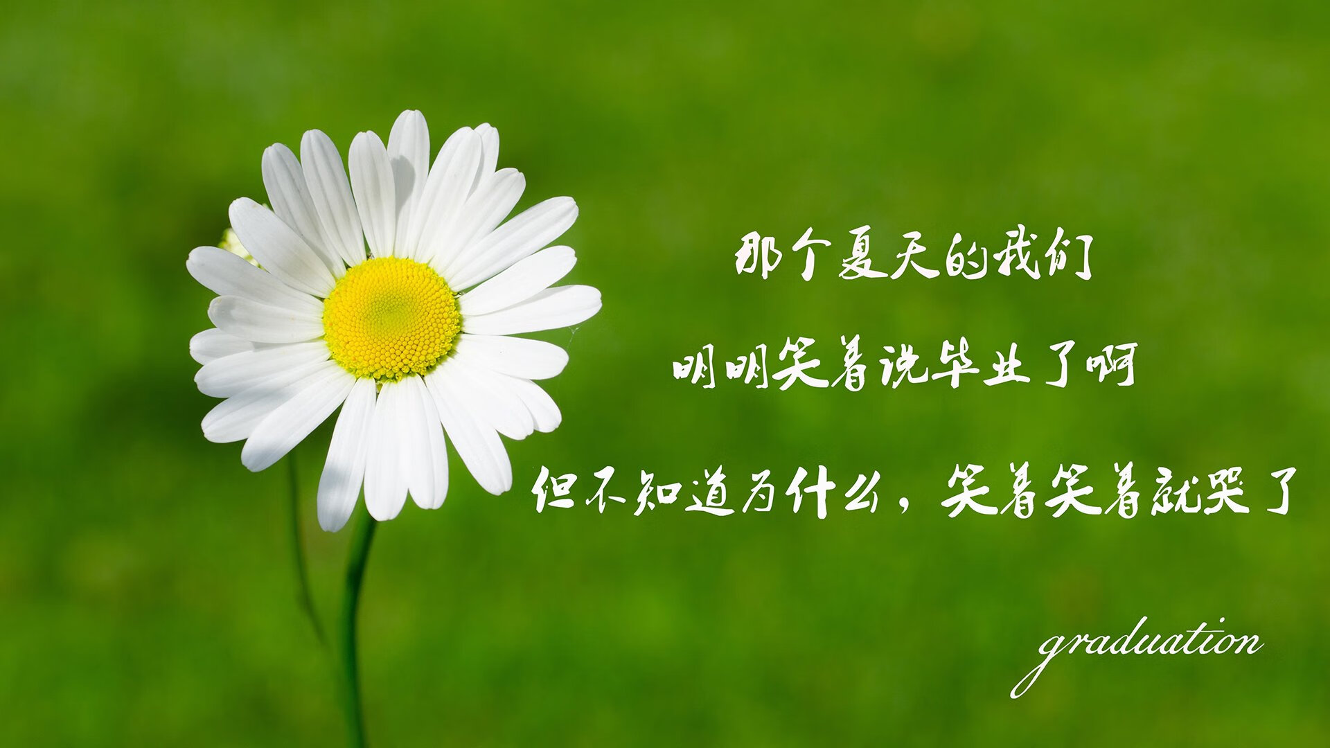 从转会窗看：今年欧洲豪门“补强”策略分析