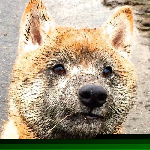 kaiyun中国官方网站-国家队大赛心理准备为何短板明显，竞赛国家队