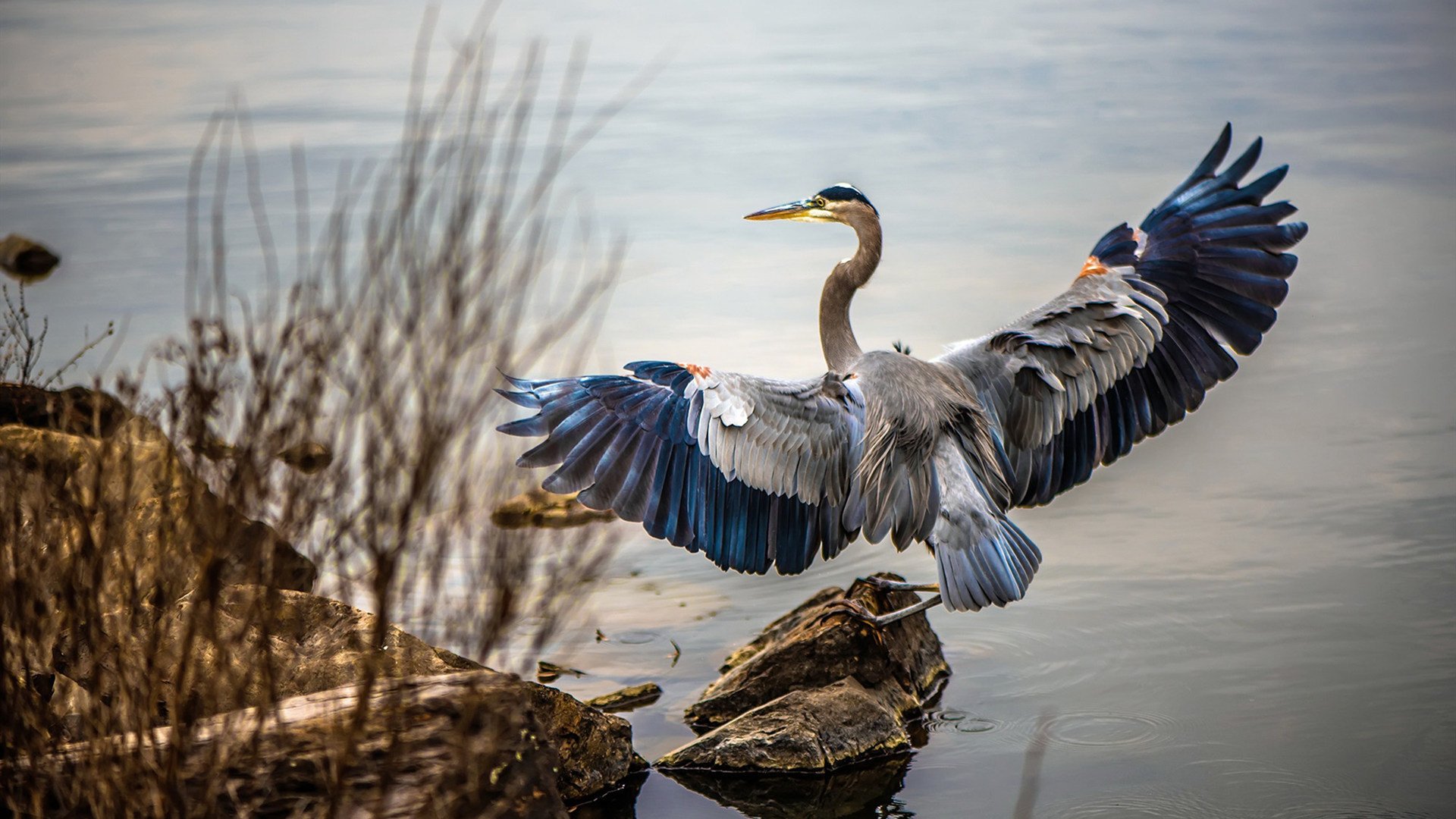 明星运动员公益足球赛促进社区融合，足球公益事业