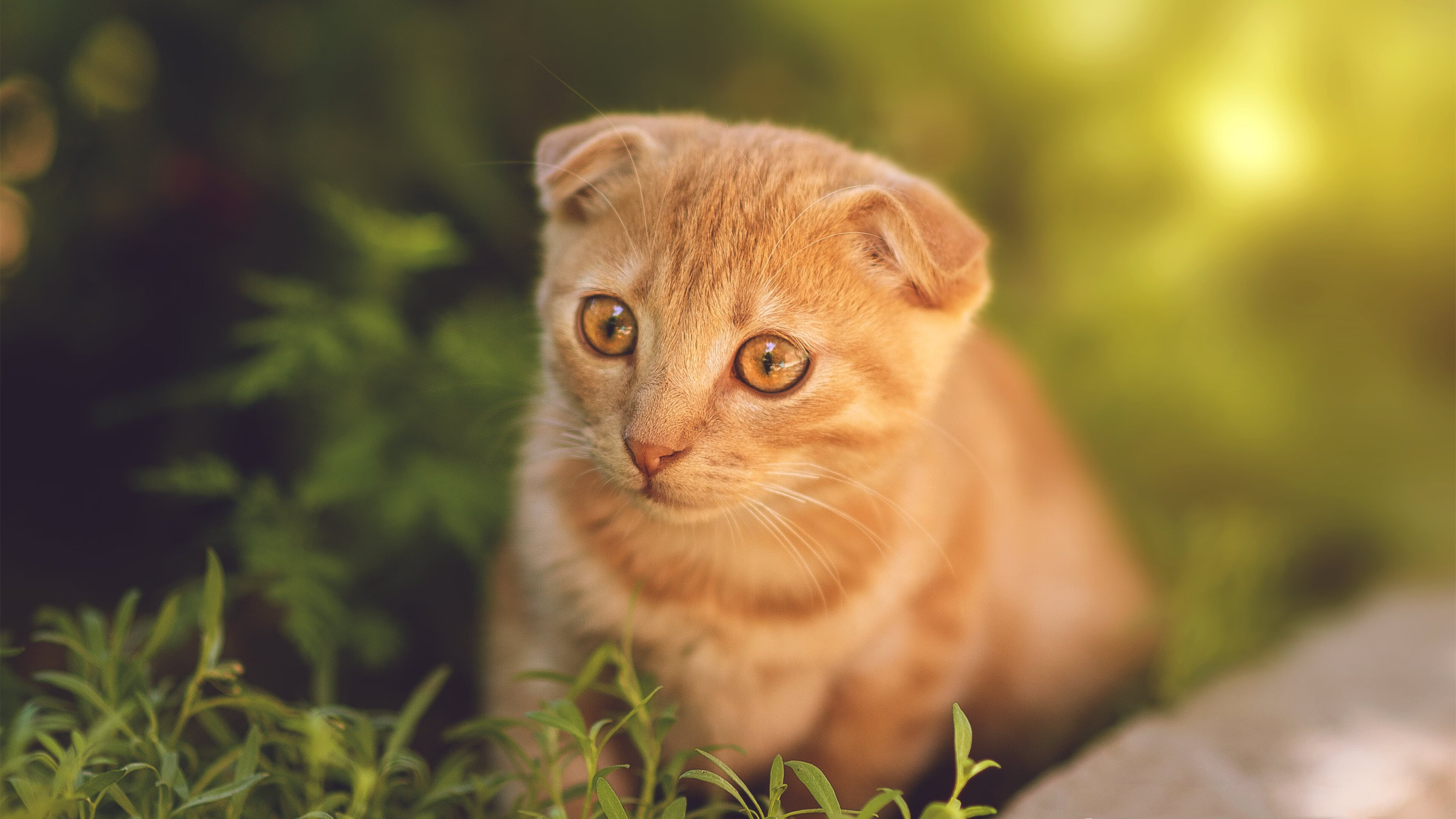 开云官网APP下载-中国女排队员集体参加体能测试，女排 体能测试