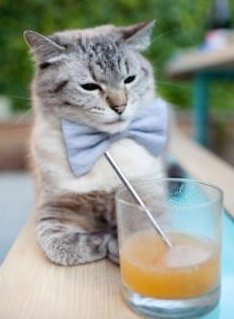 克罗地亚男篮在世界锦标赛中展现不俗实力，冲击奖牌，克罗地亚男篮厉害吗