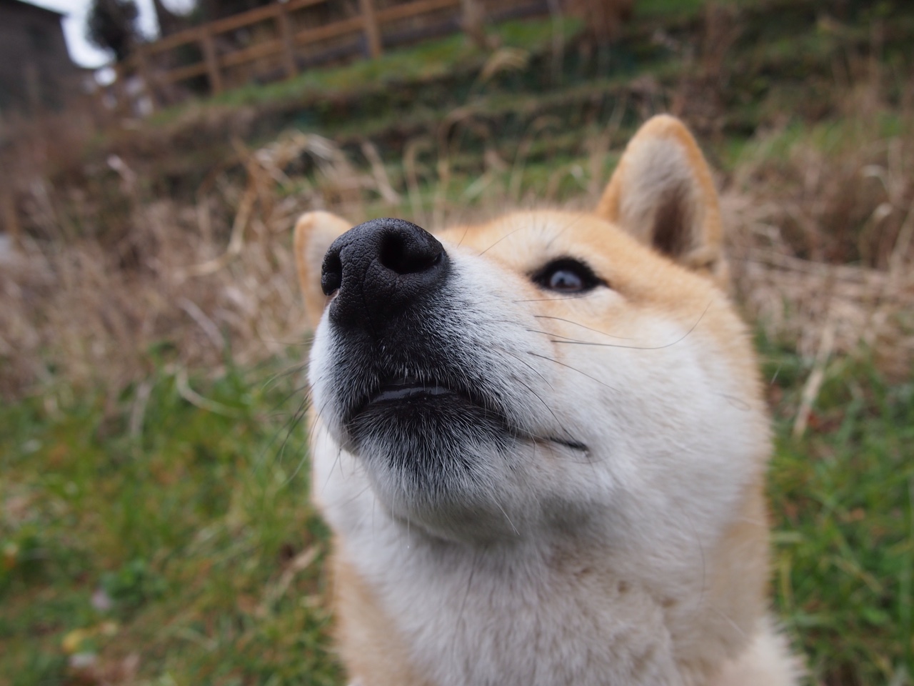 西甲场场精彩：攻守之间的华丽变换，西甲场次