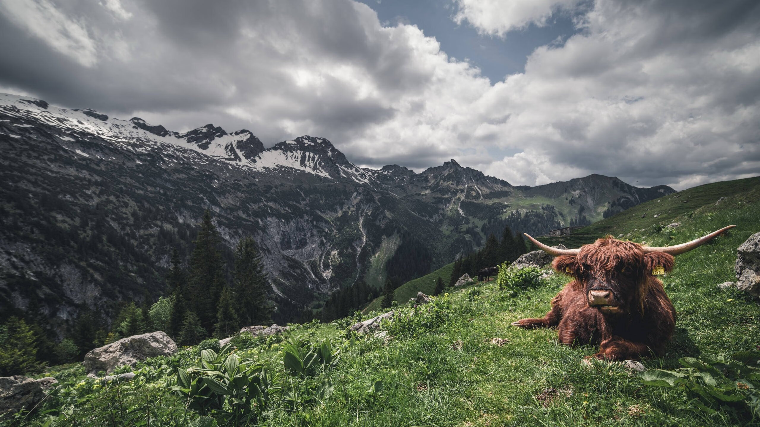 青少年篮球人才培养机制创新促进多元化发展和成长，青少年篮球培训内容有哪些