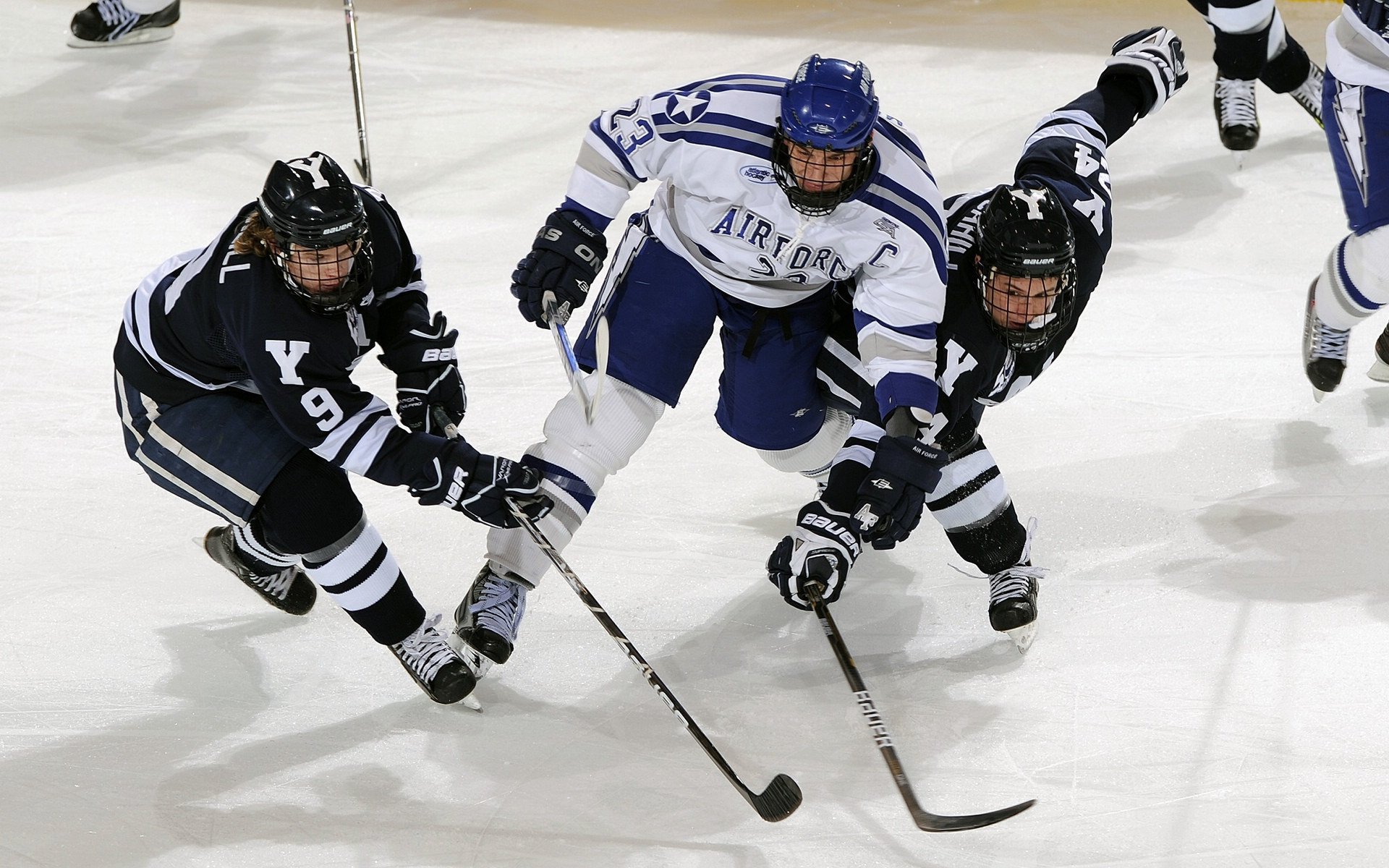 开云体育场-“牛仔3K亲子跑：从香港街头出发，亲子笑声满载”